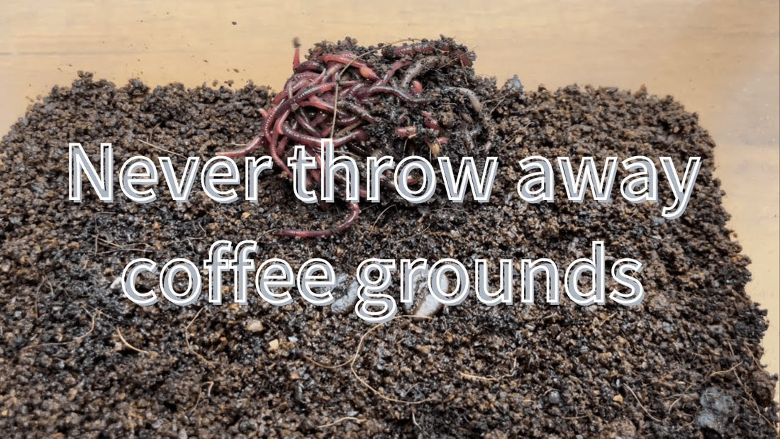Did you know that your coffee addiction can be shared with earthworms!?