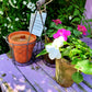 GARDEN OUTDOOR CANDLE SET - With Rustic Wire Carrier- SALE PRICES!